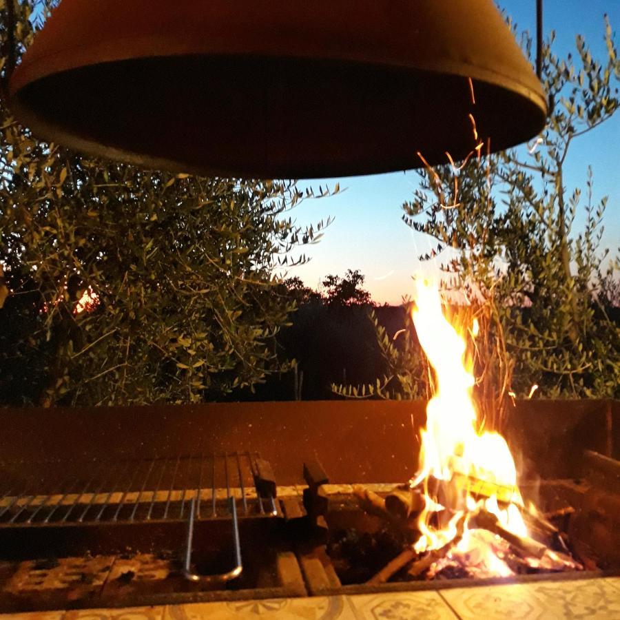 La Vigna Countrybnb Montottone Eksteriør billede