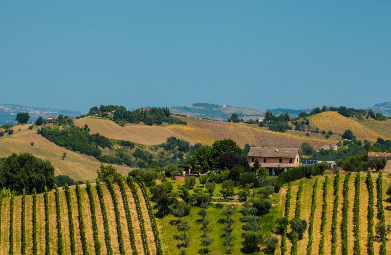 La Vigna Countrybnb Montottone Eksteriør billede